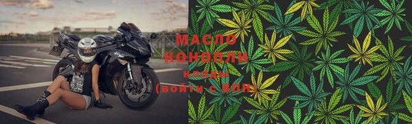 сатива Абаза