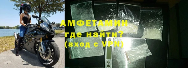 сатива Абаза